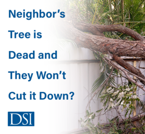 Dead-Tree