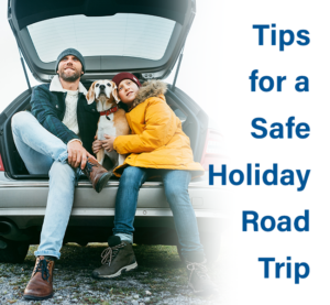 DSI-Safe-Holiday-Road-Trip